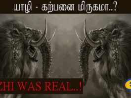 yazhi animal history Archives - EnewZ - Tamil