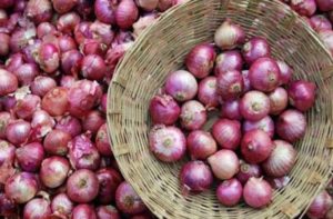 solmonella bacteria spreads through onions